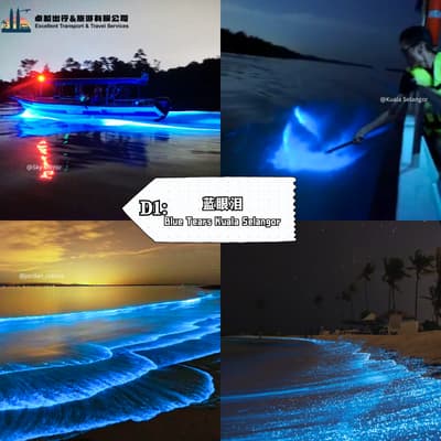 Blue Tears - Kuala Selangor